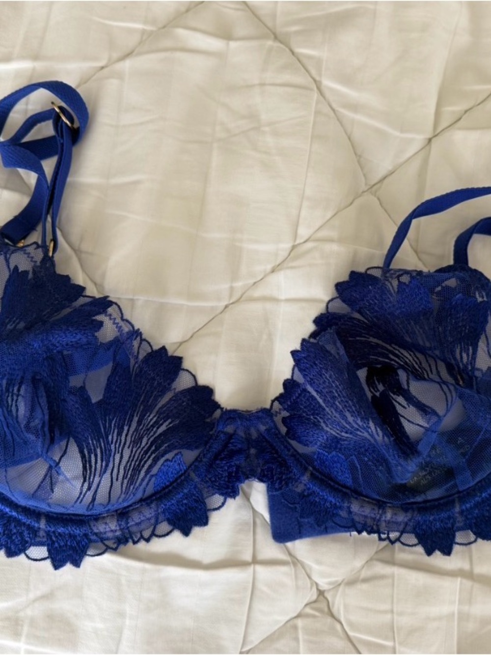 Bluebella Royal Blue Sheer Embroidered Underwire Bra